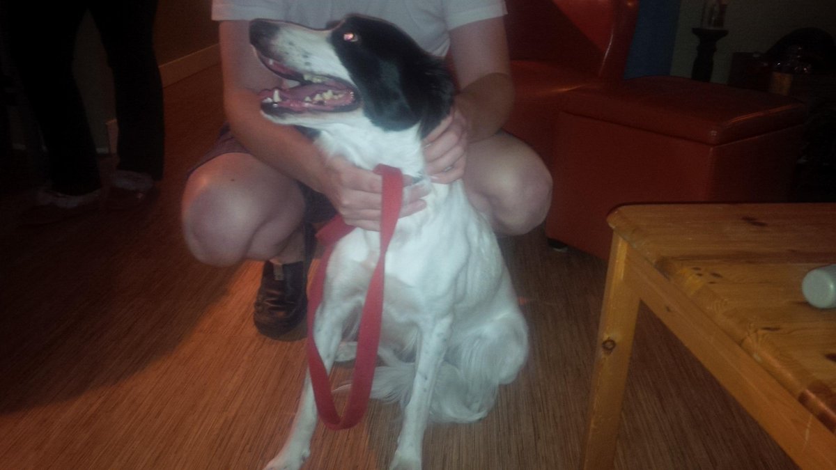 ParadigmHome's tweet image. Oops, here is the picture this time :)