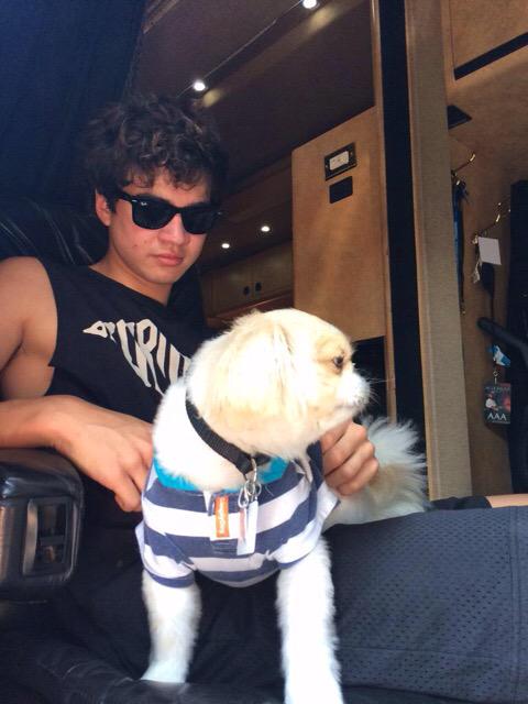 Bee5SOS's tweet image. Hershey has been good to all of us 😌 #SheKindaHotVMA #vote5sos