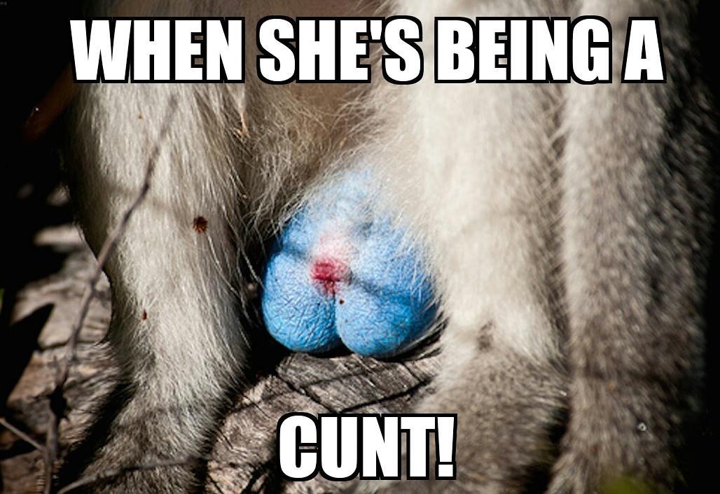 CycloneSuzi's tweet image. Courtesy of the #junkoff photos and my sick mind! 

@CycloneSuzi #memes