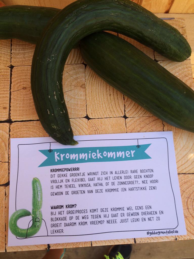 Krommunity's tweet image. #gekkegroenteliefde in ons Gekke Groente Museum op @mysteryland #ml15 #MLNL