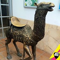 ibizarocks's tweet photo. If you've been to Ibiza Rocks Hotel you know... http://t.co/uyGg7M4fVV
