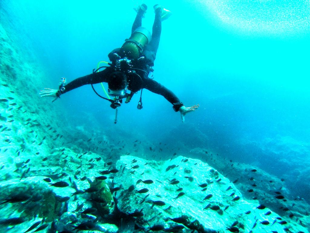 timbika's tweet image. La visibilidad en #IllesFormigues ayer era increible! Con @MarioScuba y @loola16 en #Palamos @medusadive #CostaBrava