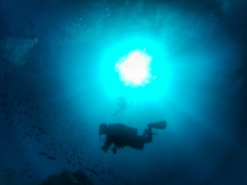 timbika's tweet image. La visibilidad en #IllesFormigues ayer era increible! Con @MarioScuba y @loola16 en #Palamos @medusadive #CostaBrava