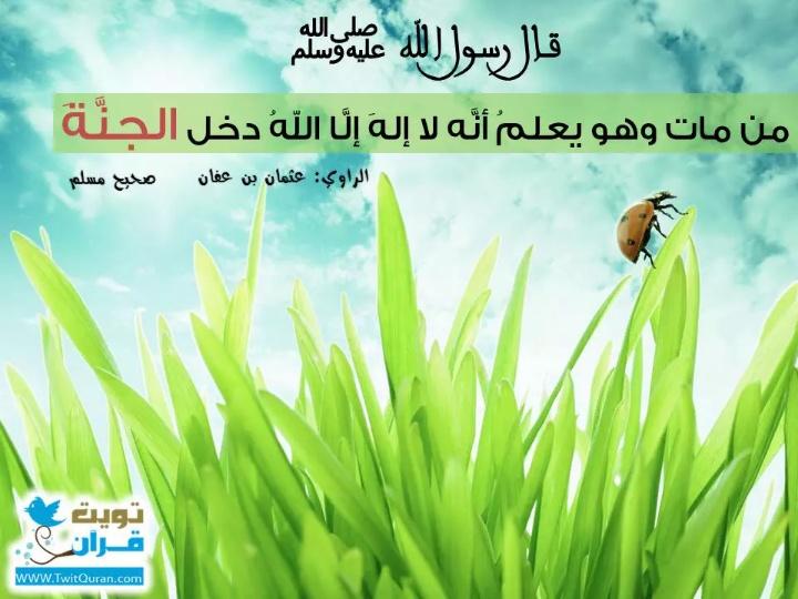  عاشق مكة المكرمة  (@qusay11373) on Twitter photo 