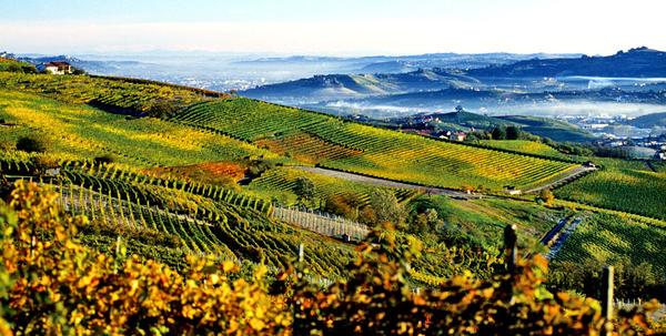 scbt_jobs's tweet image. Hiring #java experienced #WebDevelopers in PasoRobles, CA. #OracleATG experience preferred. scbt.com/careers/pasoro…