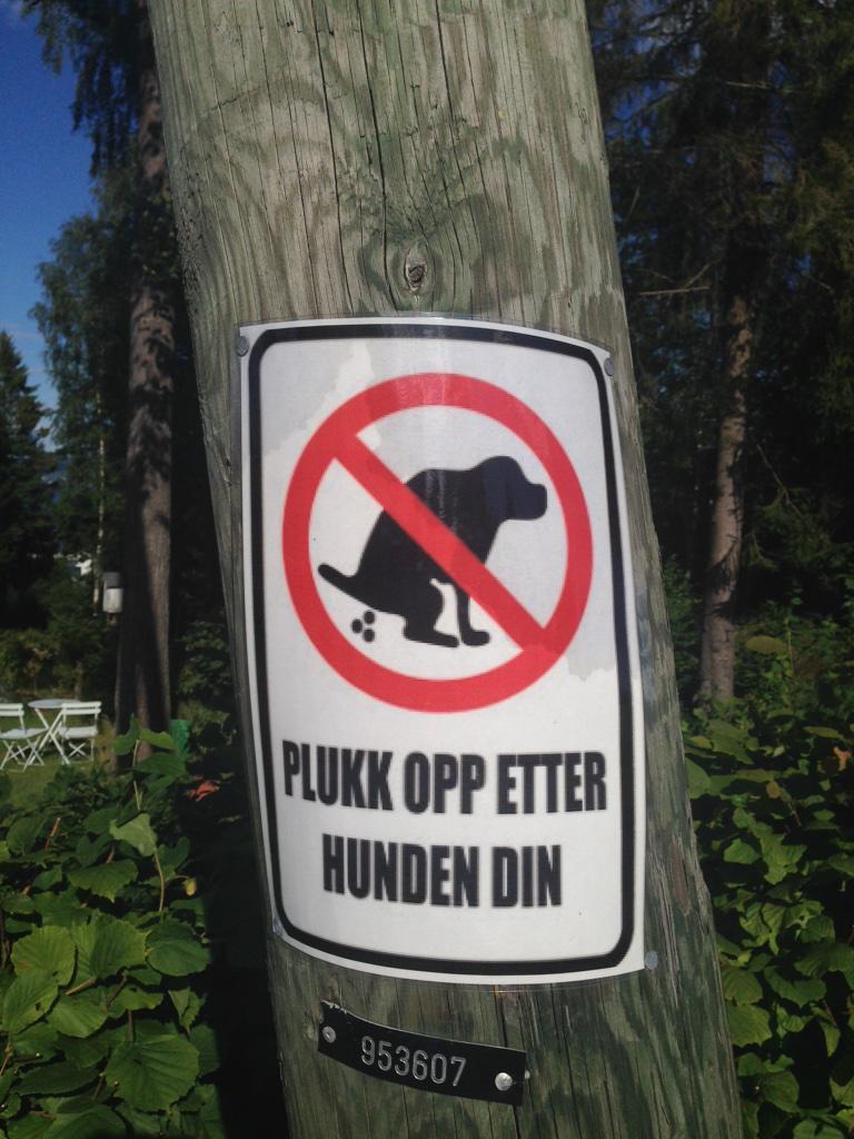 Sydøst Ashley Furman Junction Christi on Twitter: "#Skilt #Hundeeiere Sett på Hurum ~&gt; #kontraster  http://t.co/MlsrPL8Ctp" / Twitter