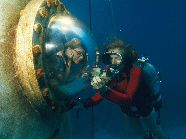 Happy birthday marine biologist who has logged <7,000 hrs underwater! 