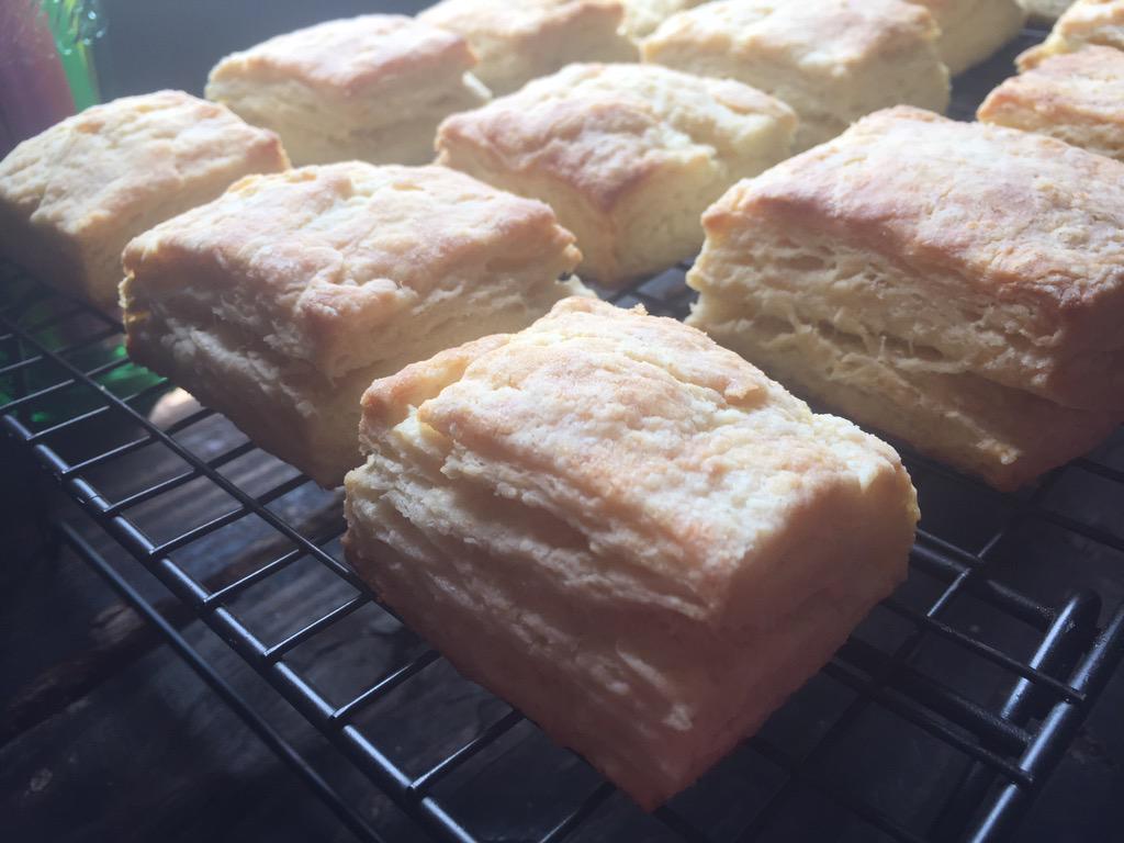 DLonecampjoe's tweet image. Been f'n around with a new biscuit recipe and I've had some good/bad results. #imaddictedtocookin #ipoopedmypants