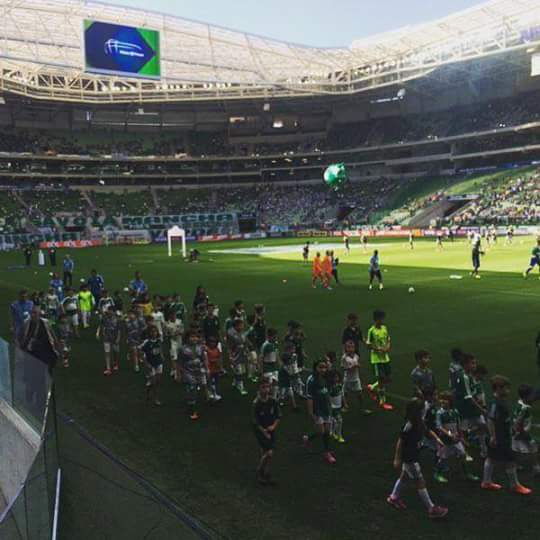 PArenaAlviverde's tweet photo. VERDÃO AQUECENDO ! http://t.co/HE9TV7cux6