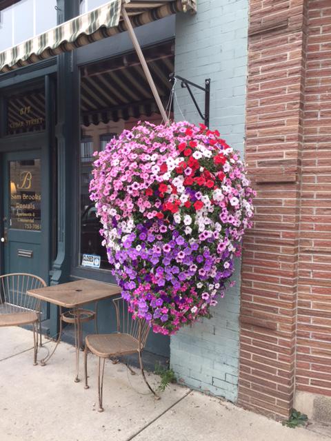 CLKBouquets's tweet photo. More from Montana, USA from my daughter @CarolineKay11

Beautiful colour! http://t.co/JL6yCK9FB9