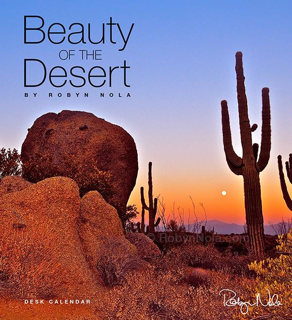 Robyn Nola on Twitter: "Beauty of the Desert #beauty #quotes #nature #