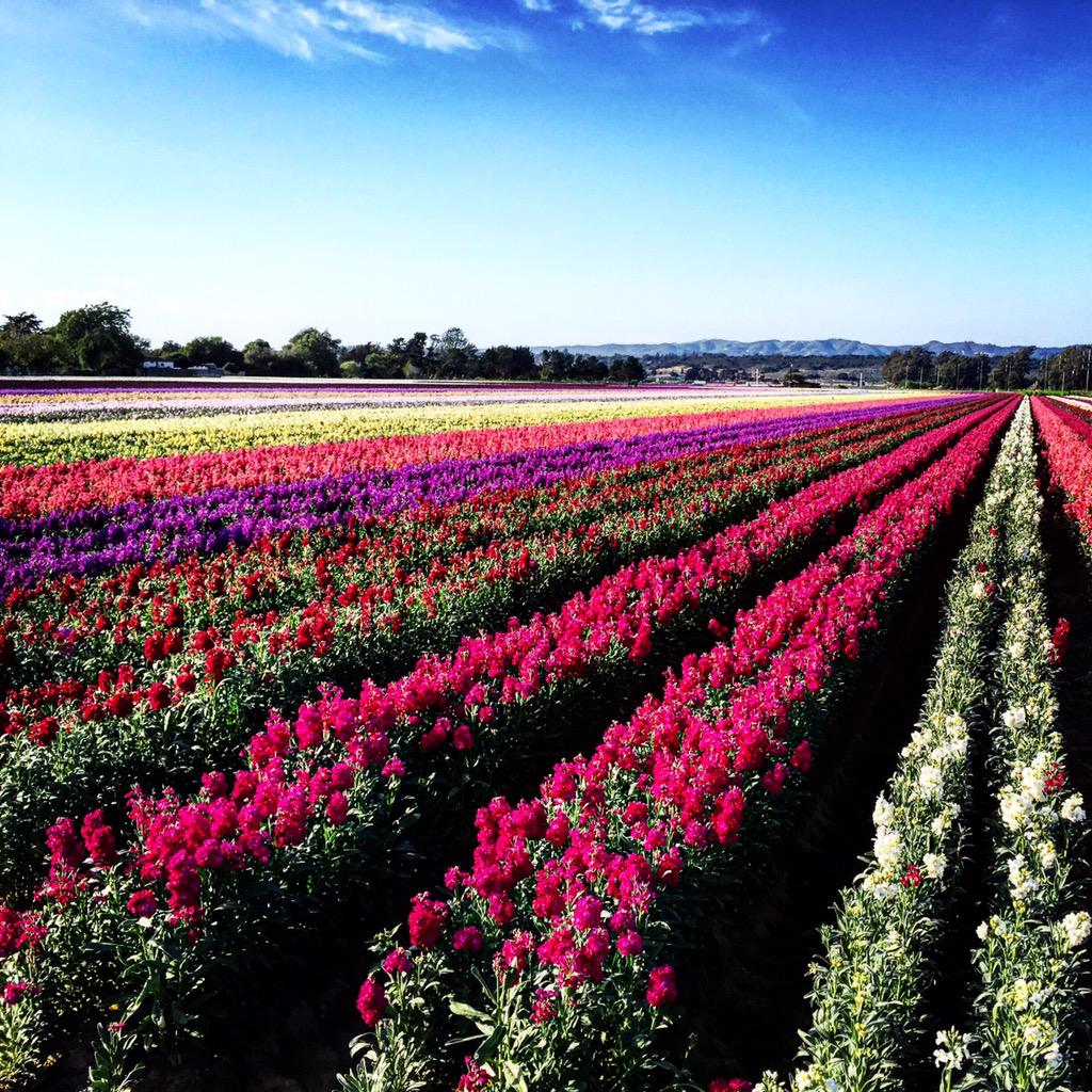 Exploration is the engine that drives innovation.