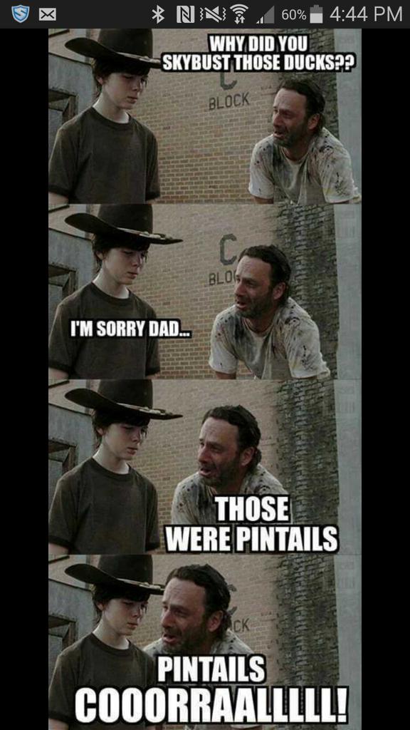 datoken35's tweet image. 