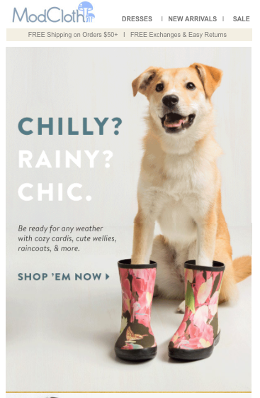 edencarlsen's tweet photo. @modcloth knows their audience. #awesomeemailads http://t.co/yP5Jb7tO4T