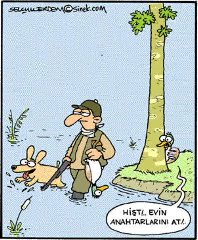Özler Av (@ozlerav) on Twitter photo 