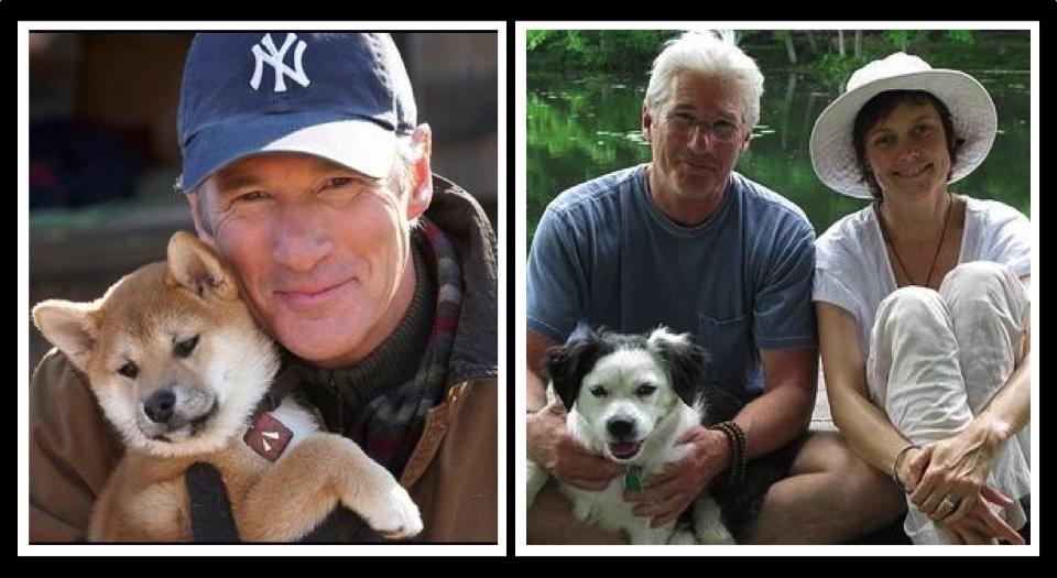 Hoy es el cumpleaños del actor Richard Gere. Happy Birthday!
también perruno   