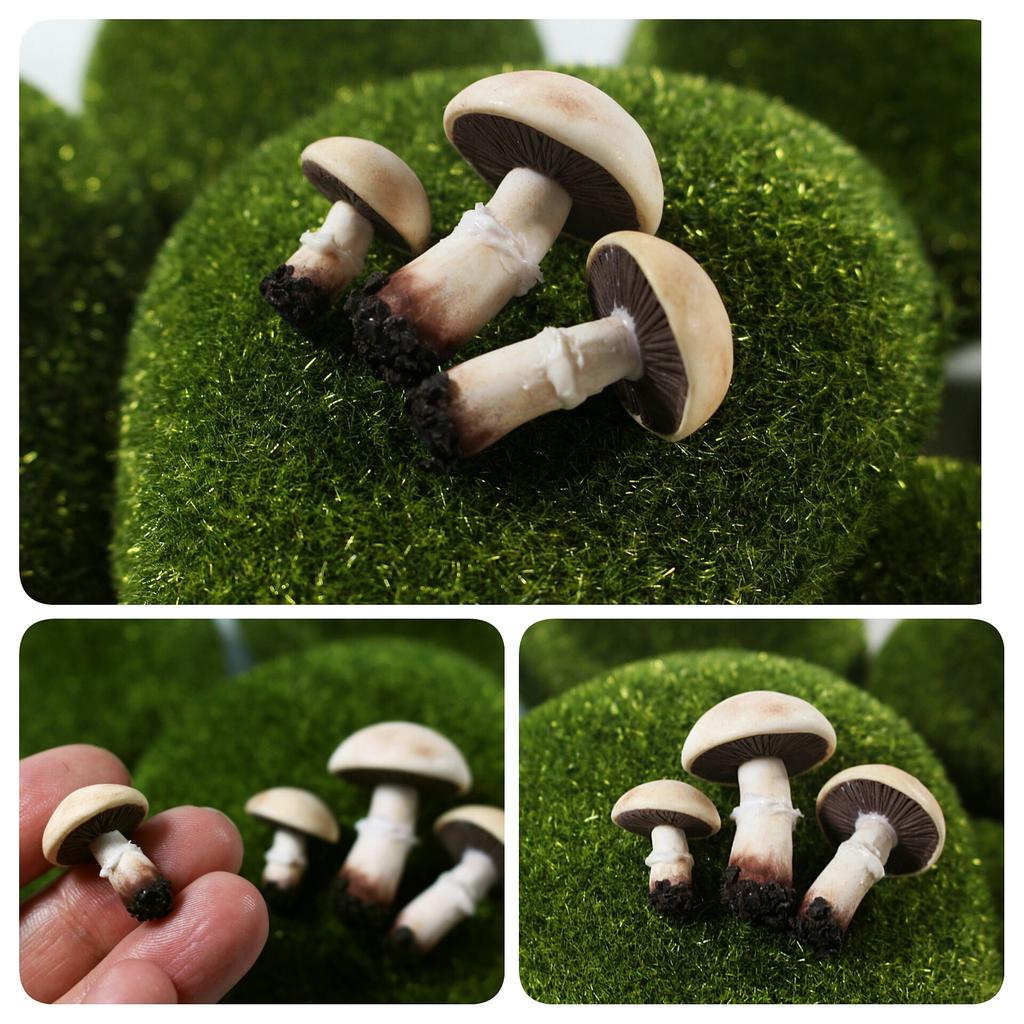 tcharmingstuff's tweet image. Upcoming tutorial-&amp;gt;mushrooms 😊 🍄