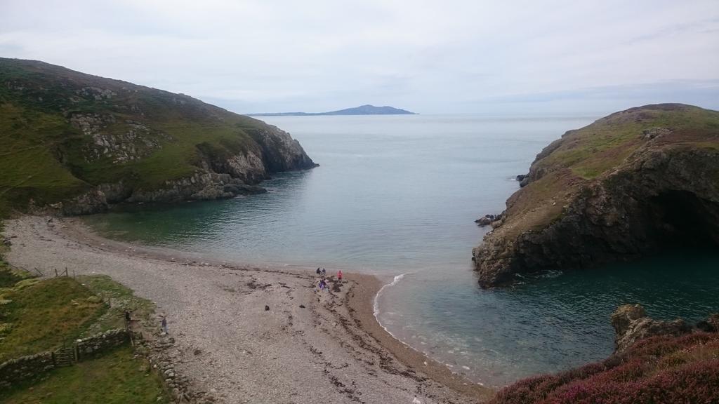 fossilplants's tweet photo. #Carmelhead #Anglesey http://t.co/Mw8K8lnhOs
