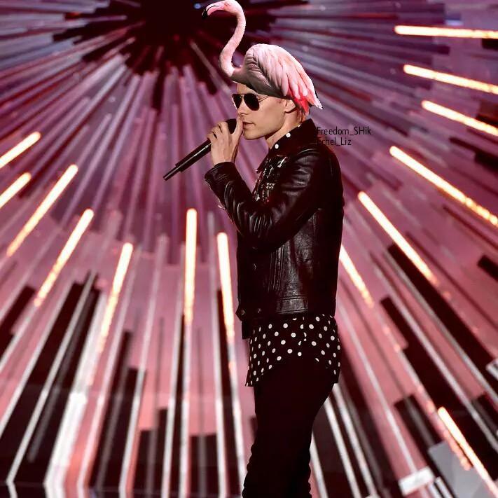 hloves30stm's tweet photo. 😂😂😂 “@FrauVonHerzL “@FreedomShik #Jaredispink
#JaredLeto
Haha
@JaredLeto http://t.co/q9Waf9vzXU””