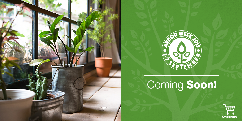 Checkers on Twitter "DYK greenery in your home/office can clean the