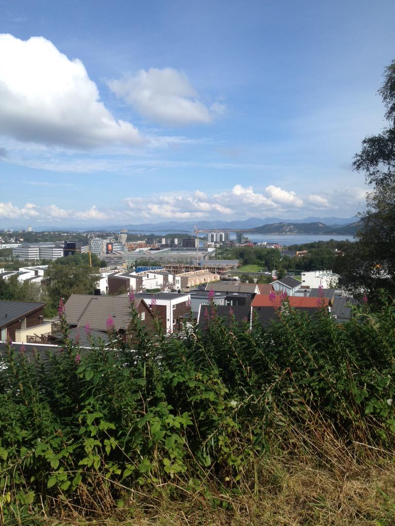 Petter Thoresen tweet media