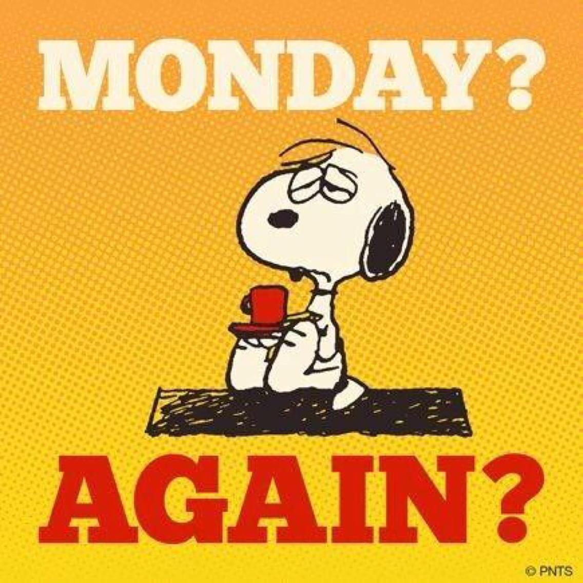 SatOnMeeting's tweet image. G☕️☕️D  M☕️RNING!
Monday❓... Again❓
#Coffee pleasssssee❗️
#CoffeeLove #MondayBlues #Peanuts ☕️❤️😊