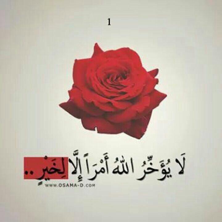 lmia2_2's tweet photo. اللهمّ أنظر اليّنا نظرة رِضآ تَهْدِي بِهآ قُلُوُبنآ 
وتَغْفِر بِها ذنُوبنآ، وتَردّنا بِها إلَيك رَدًا جَمِيلاً http://t.co/MfU0cjkDGw