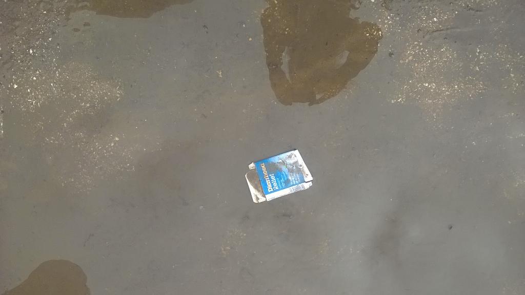 <a href="/LukeCW/">Luke Williams</a> <a href="/DismalandWSM/">Dismaland Official</a> Some are having a more dismal time than others <a href="/BanksyOfficiaI/">banksy</a>