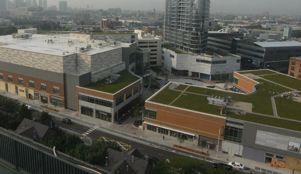 Stephen Andrews tweet media