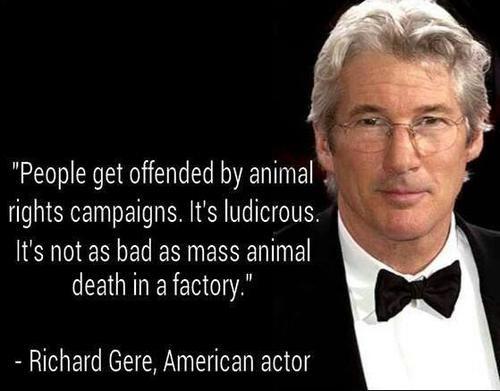 Happy bday Richard Gere! Thank u 4 all that u do 4 animals & 