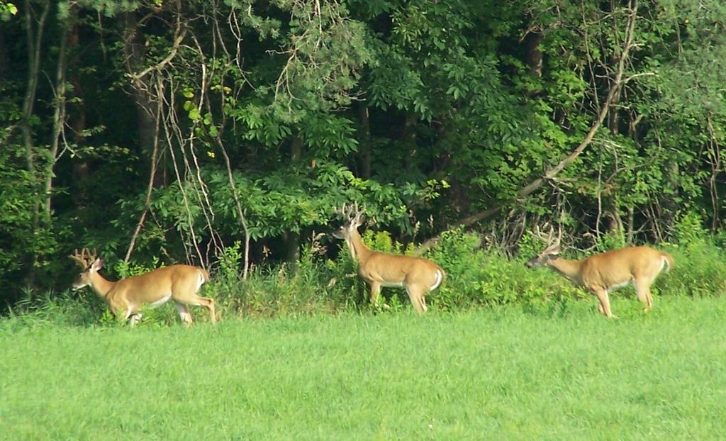 patrockets's tweet image. Hello boys..