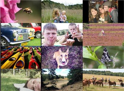 Tijd voor een terugblik op afgelopen week in de Veluwe!