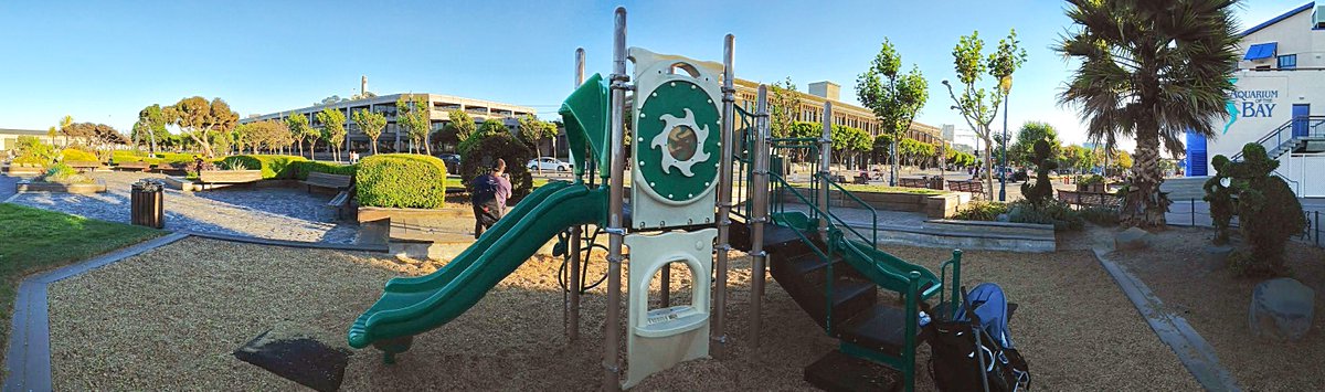 MJNISH's tweet image. My 4yr old's fav thing in SF, not #Pier39, Wharf, #Duckride or #exploratorium, this little park next to the Aquarium