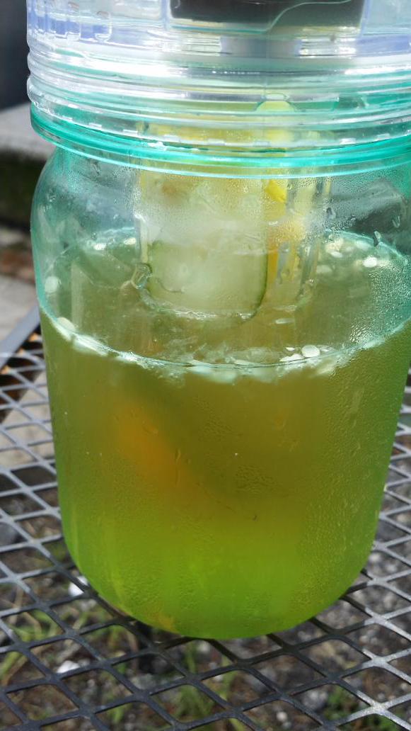 Akaline 13,  honey, cucumbers,  lemons, dash baking soda, distilled water