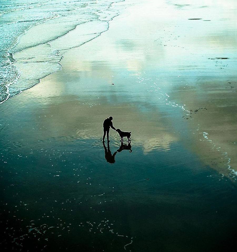 美波/ミナミ@大阪在籍本質情報 (@entincity) on Twitter photo 