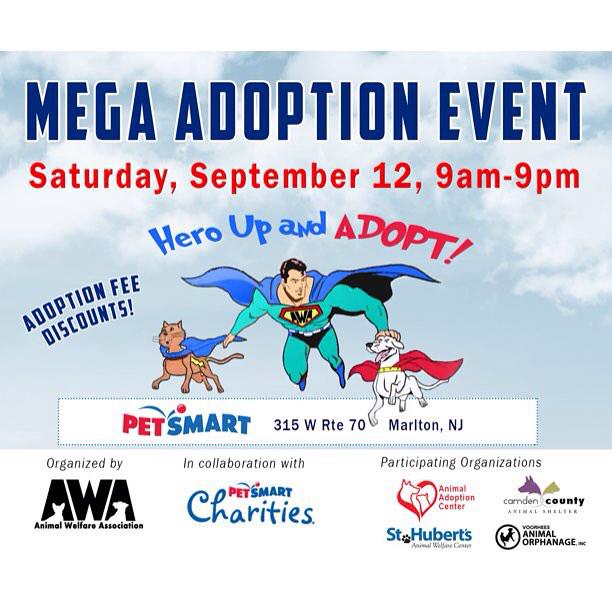 sthubertsanimal's tweet image. Join us at this MEGA adoption event on 9/12--meet our cats &amp;amp; dogs and check out #TheZephyr!