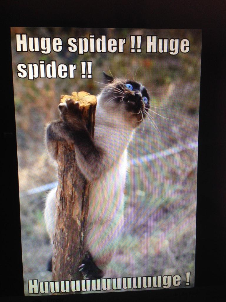 ExNihiloGraphix's tweet image. I am still recovering from this mornings encounter!  LOL