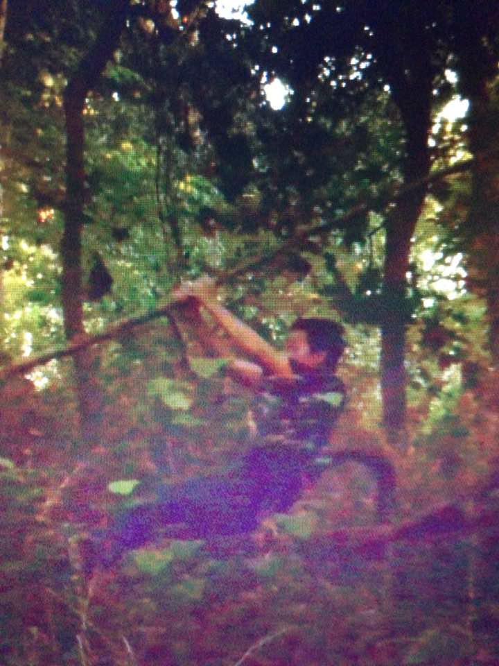 semprenotturna's tweet photo. Philippine Gazette: Strong European man saves local asian man trapped under bamboo http://t.co/bLw45akMiN