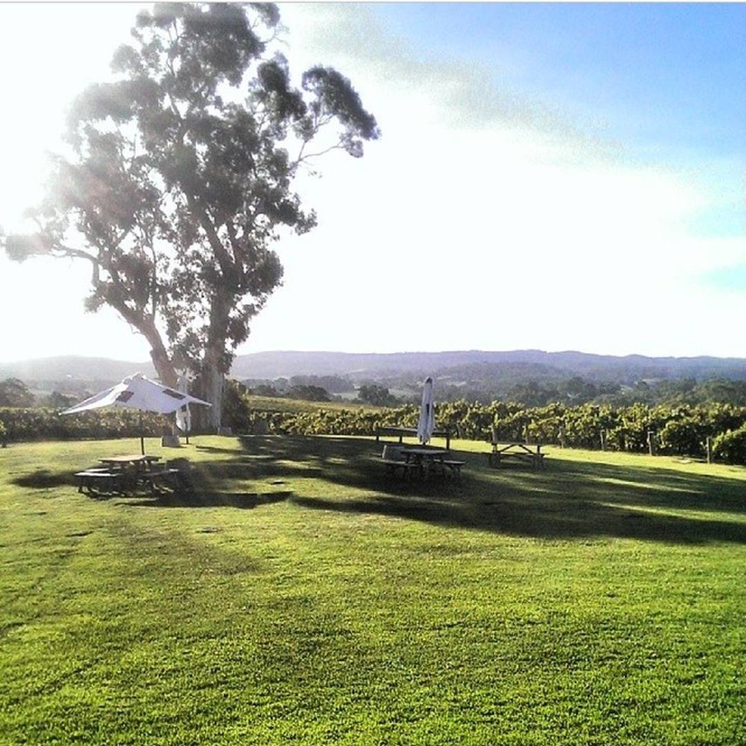 First day of Spring! #NepentheWines #AdelHills #winetime