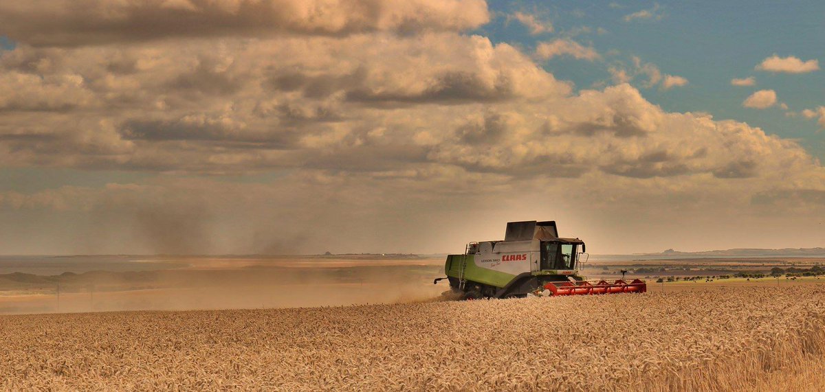 Tom CarrEllison (TCarrEllison) Twitter