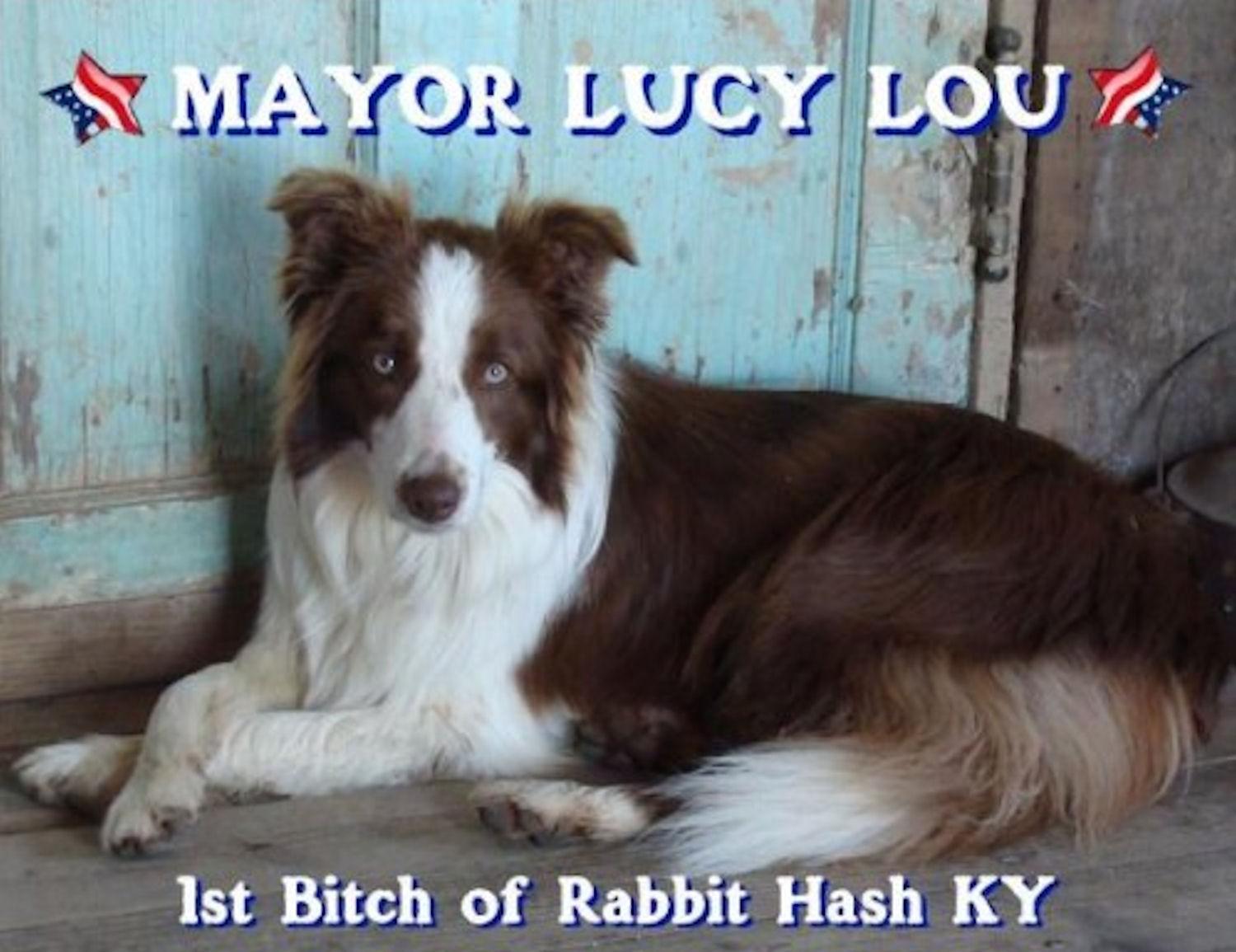 Resultado de imagen para pictures of lucy lou mayor of rabbit hash