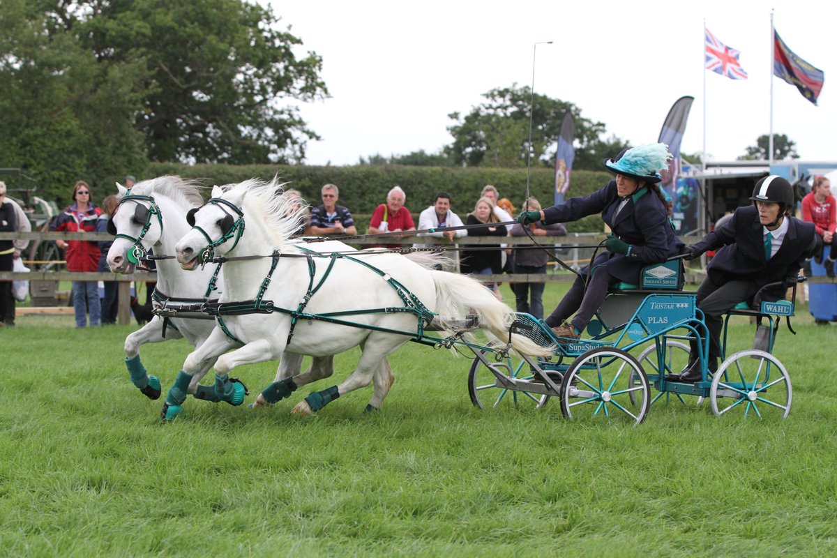 A Fantastic day the <a href="/edenbridgeshow/">Edenbridge & Oxted Agricultural Show 🌾</a> , got my <a href="/hoystweet/">Horse of the Year Show</a> place with my ponies Carriagehouse Insurance  "Touch &amp; Go"