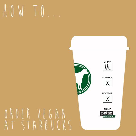 KindCloth's tweet image. VEGAN #starbucks drinks that you'll FALL in love with! #vegan #falldrinks #september ow.ly/RzgP1