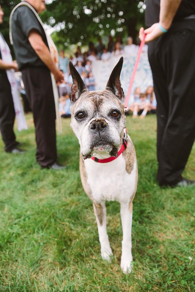 Best part of my #ADWFirstDay: seeing @FrBillByrne's sweet Roo help Our Lady of Mercy w/their #WalkwithFrancis pledge!