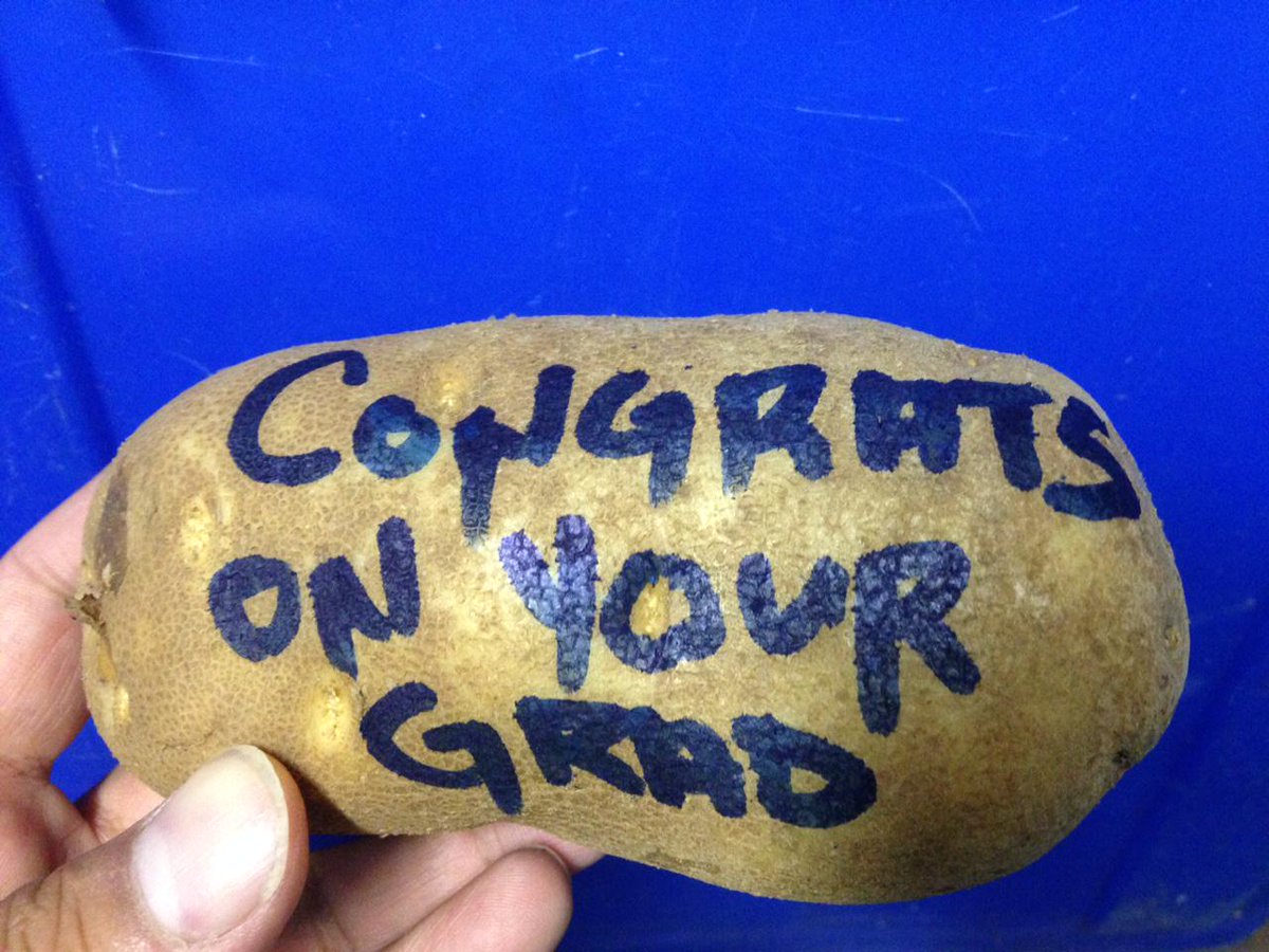 Veggie_Message's tweet image. Graduation veggie message greeting card, very common. #veggiemessage @veggie_message veggiemessage.com Memories