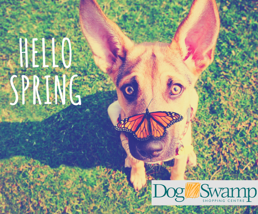 Dog Swamp Shopping (DogSwampCentre) Twitter