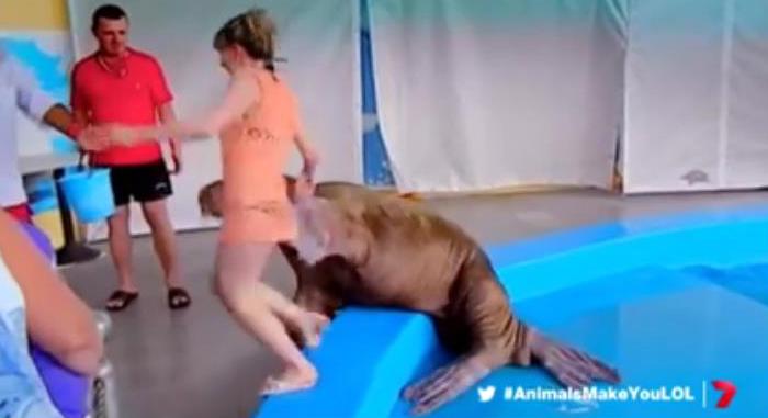 It’s not just pets who make us LOL. #AnimalsMakeYouLOL
7.30pm tonight on 7.
WATCH: yhoo.it/1LGPyER