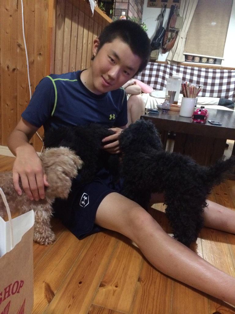 犬使い 犬使い