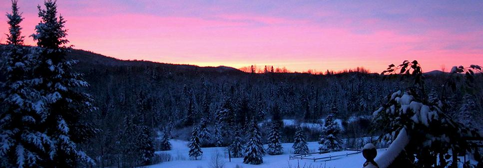 maxiaventure's tweet image. Une #randonnée boréale au #Quebec ça vous dit? goo.gl/xDhmF9