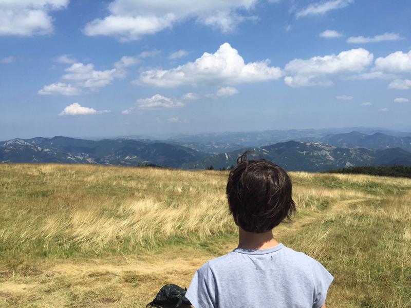 Collegamento permanente dell'immagine integrata